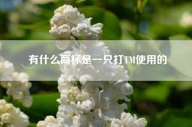 有什么商标是一只打TM使用的