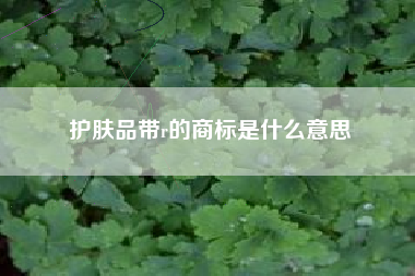 护肤品带r的商标是什么意思