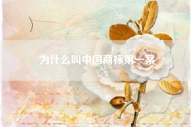 为什么叫中国商标第一案