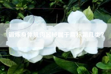 锻炼身体肌肉器械属于商标第几类？
