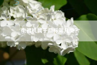 电镀机属于商标第几类？