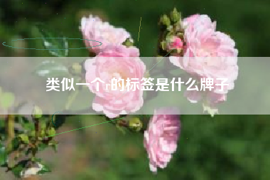 类似一个r的标签是什么牌子