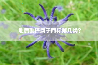 地质勘探属于商标第几类？