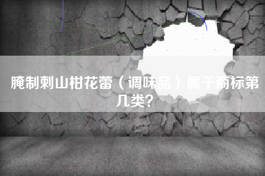 腌制刺山柑花蕾（调味品）属于商标第几类？