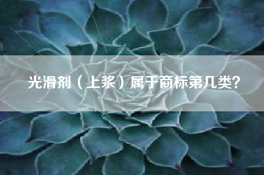 光滑剂（上浆）属于商标第几类？