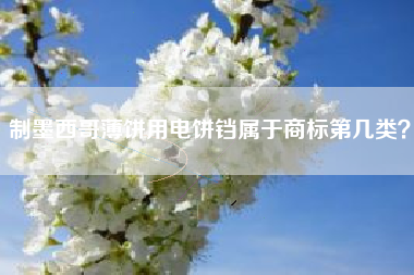 制墨西哥薄饼用电饼铛属于商标第几类？