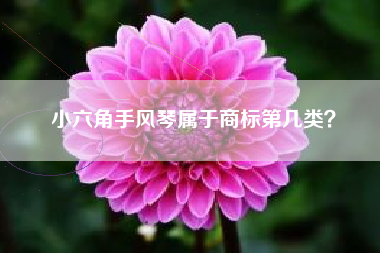 小六角手风琴属于商标第几类？