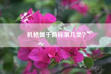 机枪属于商标第几类？