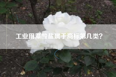 工业用藻酸盐属于商标第几类？