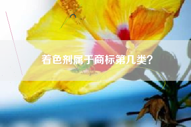 着色剂属于商标第几类？