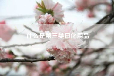 什么是第三类日化用品