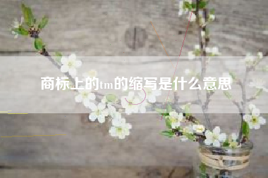 商标上的tm的缩写是什么意思