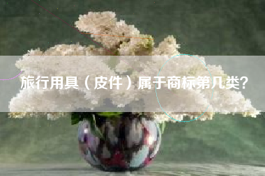旅行用具（皮件）属于商标第几类？
