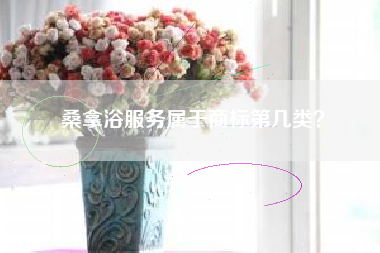 桑拿浴服务属于商标第几类？