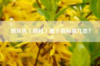 烟灰色（颜料）属于商标第几类？