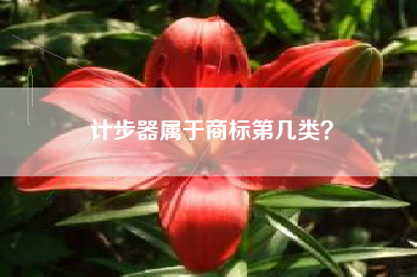 计步器属于商标第几类？
