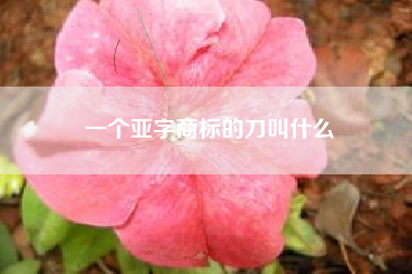 一个亚字商标的刀叫什么
