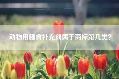 动物用膳食补充剂属于商标第几类？