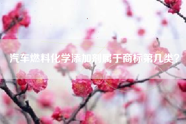 汽车燃料化学添加剂属于商标第几类？