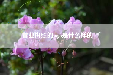 营业执照的logo是什么样的