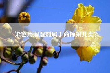 染色用润湿剂属于商标第几类？