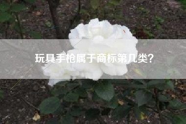 玩具手枪属于商标第几类？