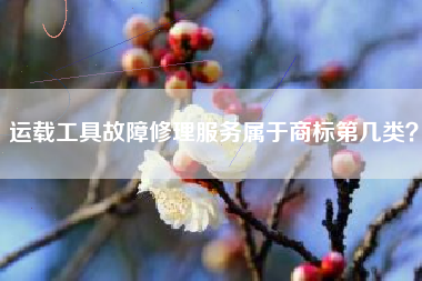 运载工具故障修理服务属于商标第几类？