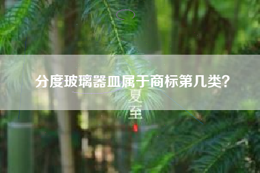 分度玻璃器皿属于商标第几类？