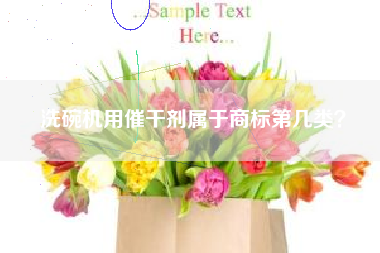 洗碗机用催干剂属于商标第几类？