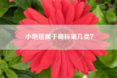 小地毯属于商标第几类？