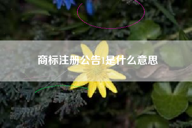 商标注册公告1是什么意思