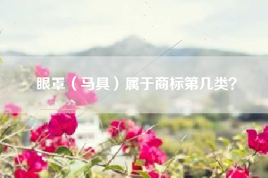 眼罩（马具）属于商标第几类？