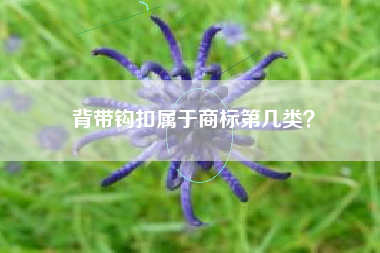 背带钩扣属于商标第几类？