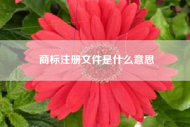 商标注册文件是什么意思