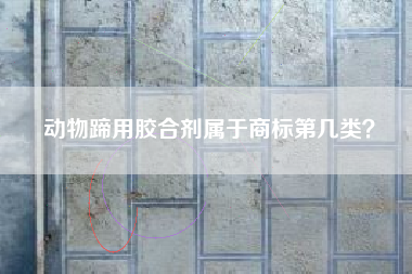 动物蹄用胶合剂属于商标第几类？