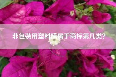 非包装用塑料膜属于商标第几类？