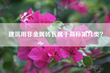 建筑用非金属砖瓦属于商标第几类？