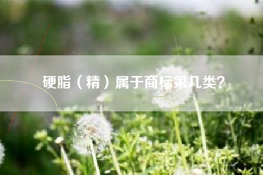 硬脂（精）属于商标第几类？
