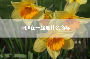 I和B在一起是什么商标