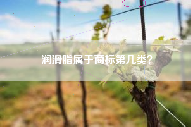 润滑脂属于商标第几类？