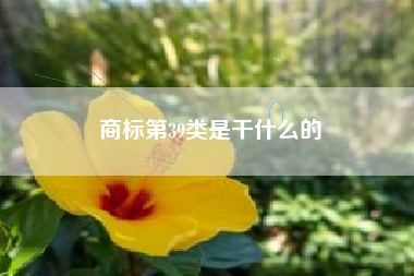 商标第39类是干什么的