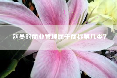 演员的商业管理属于商标第几类？