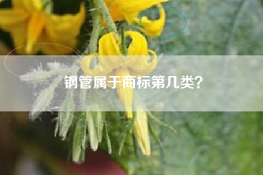 钢管属于商标第几类? 钢管属于商标第几类?
