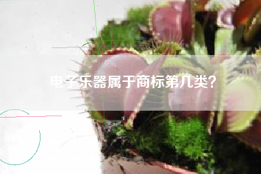 电子乐器属于商标第几类？