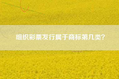 组织彩票发行属于商标第几类？