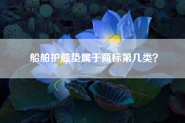 船舶护舷垫属于商标第几类？