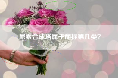 尿素合成塔属于商标第几类？