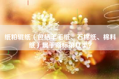 纸粕辊纸（包括羊毛纸、石棉纸、棉料纸）属于商标第几类？