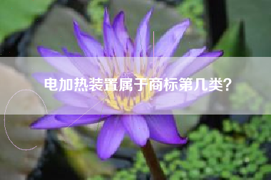 电加热装置属于商标第几类? 电加热装置属于商标第几类?