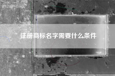 注册商标名字需要什么条件